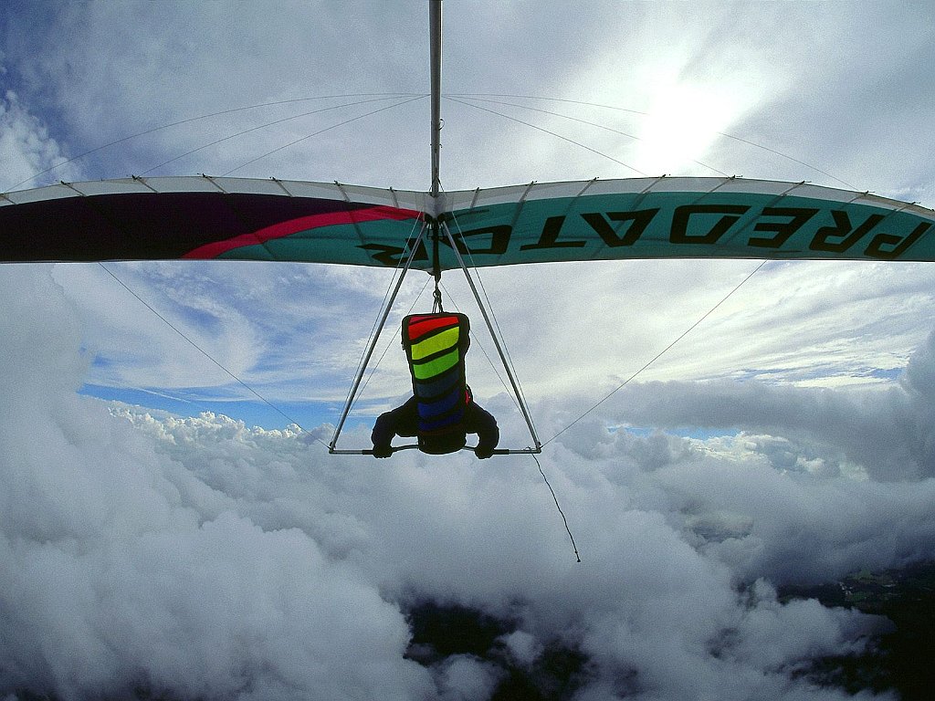 Soaring in the Clouds